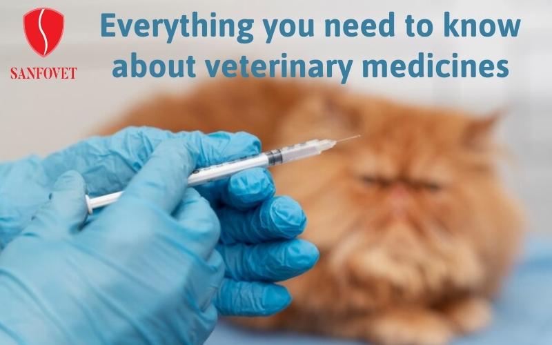 Veterinary medicine exporter Everything you need to know about